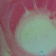 Rose bud of the heart meditation tutorial